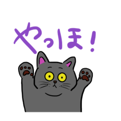 lulu_20250131082101