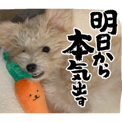 Nanami_20250131144655