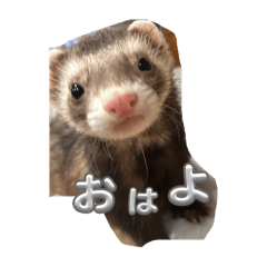 erika_20250131154055