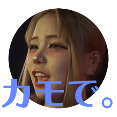 hikari_20250131153955