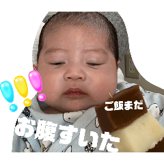 miyoko_20250131215326