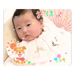 my_20250131203046
