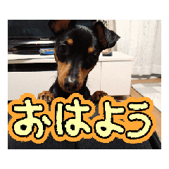 RiRi_20250131185231