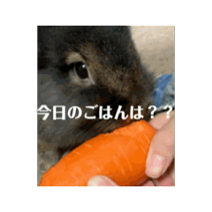 antaro_20250131225115