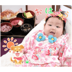 pipi_20250131230231