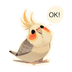 Terry - the chatty cockatiel
