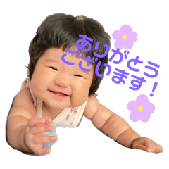 ask_20250131165221