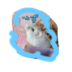 saya_20250131184105