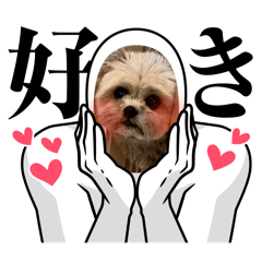chacha_20250131233531