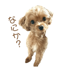 non_20250131232913