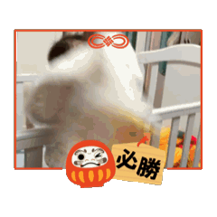 祐祐日常生活日記3