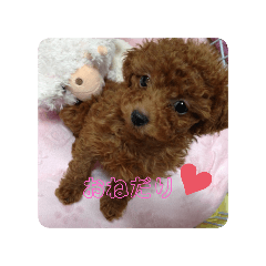 yuki_20250131152739
