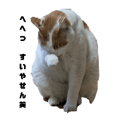 natsu_20250201005402