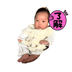EMI_20250131175459