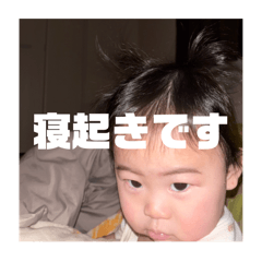 mao_20250131220355