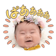 RINA_20250131220040