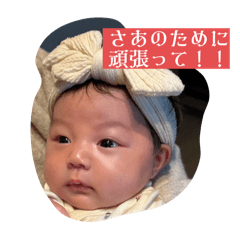 moe_20250131221832