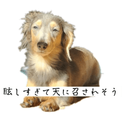 はるのほのぼのスタンプ