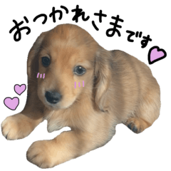 Mugi's daily sticker1