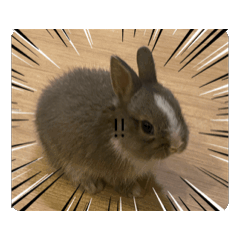 Mymoji_20250131155417