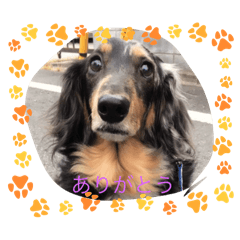 nori_20250131203207
