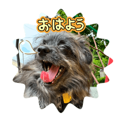 Miho_20250131204020