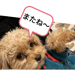 Yukie_20250131204453