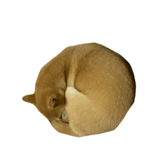 hima0813_20250131214337