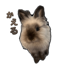 moka_20250131214940