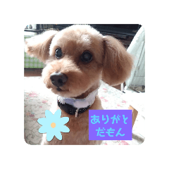 momo_20250131231634