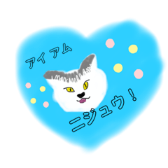 pom_20250131235158