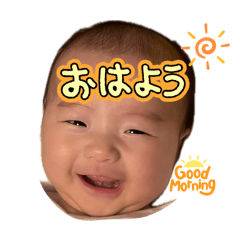 KOKO_20250131234938