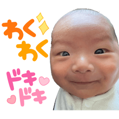 chubby_20250201122007
