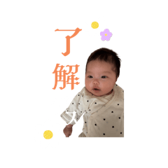 rina_20250201112640