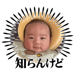 pepe_20250201120041