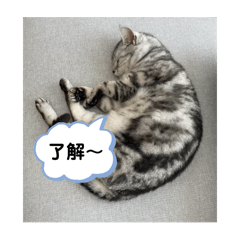 RUI_20250201134420
