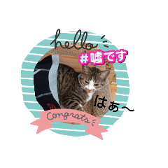 yumehei_20250201141359