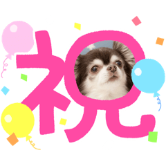 shogo_20250201150650