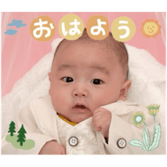kumachan_20250201151435