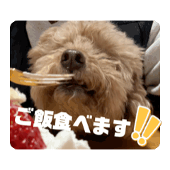 mai_20250201191947
