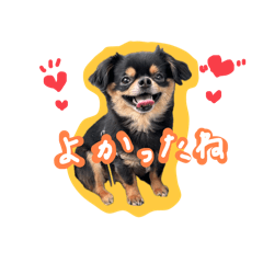 annie_20250201124339