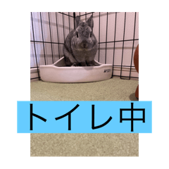 ao_20250201190843