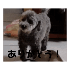 Mitsuki_20250201211957