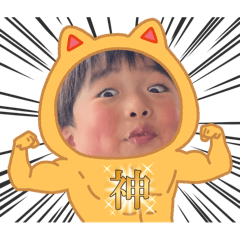 mii_20250201211958