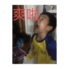 我的波波