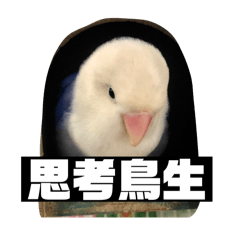 康咕咕不想努力了