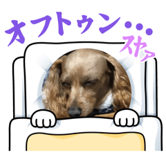 ruru_20250201174717