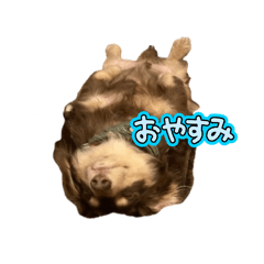 AKANE_20250201195542