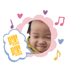 小哈洛的日常