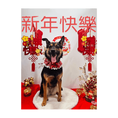 我的溝溝